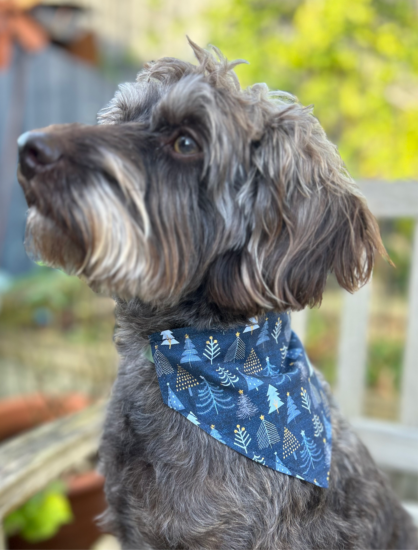 Blue Holly/Blue Trees Reversible Dog Bandana