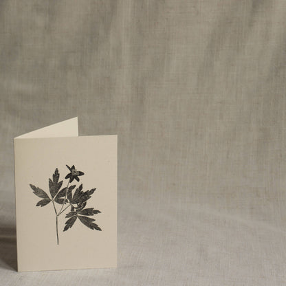 Wood Anemone Flower Greeting Card