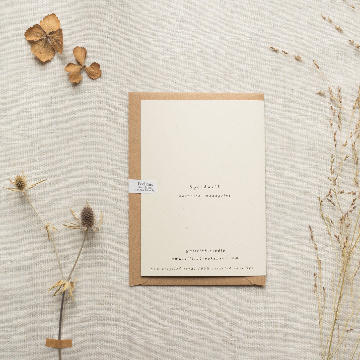 Speedwell Flower Card