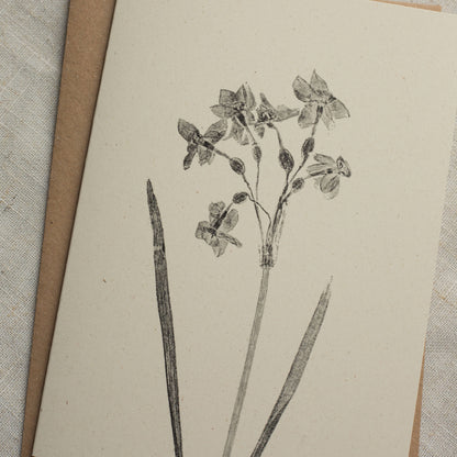 Narcissus Flower Greeting Card