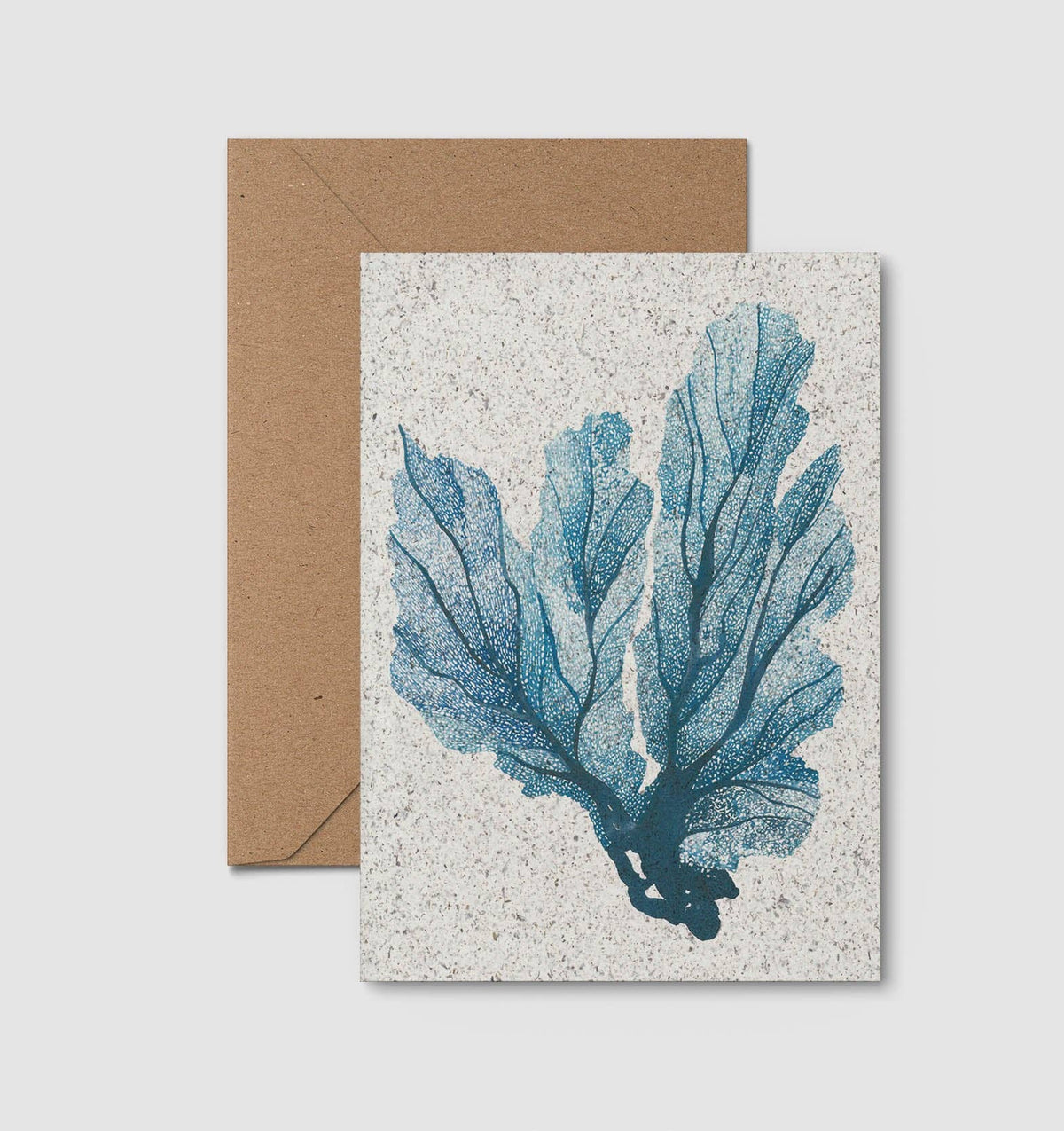 Sea Fan Card