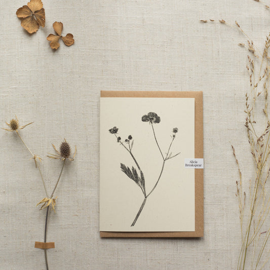 Meadow Buttercup Flower Card