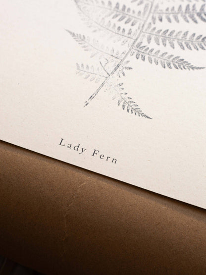 A4 Botanical Art Print - Lady Fern 