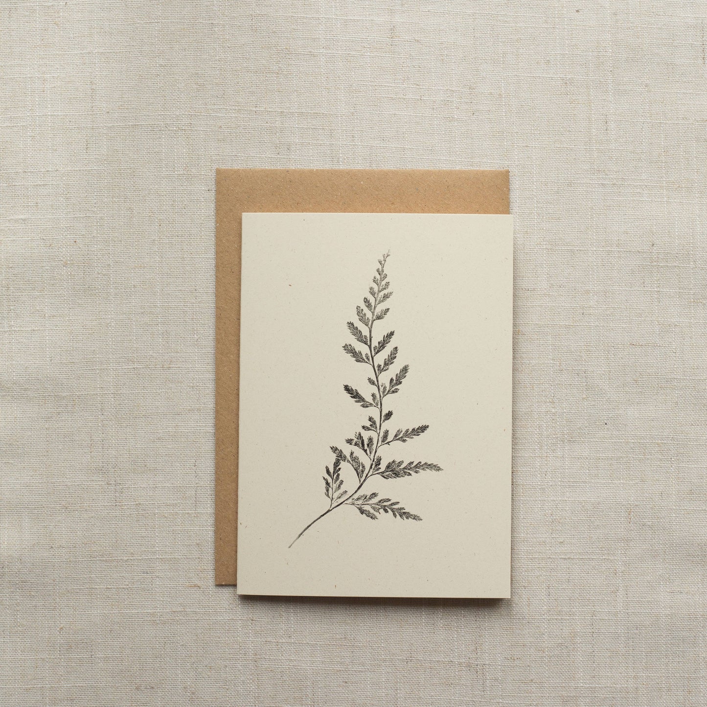 Fern Greeting Card