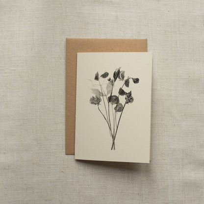 Sweet Peas Flower Greeting Card