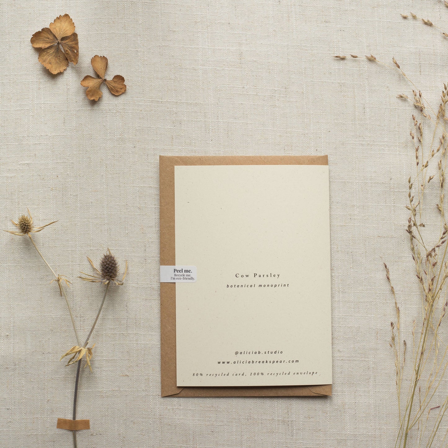 Cow Parsley Botanical Greeting Card