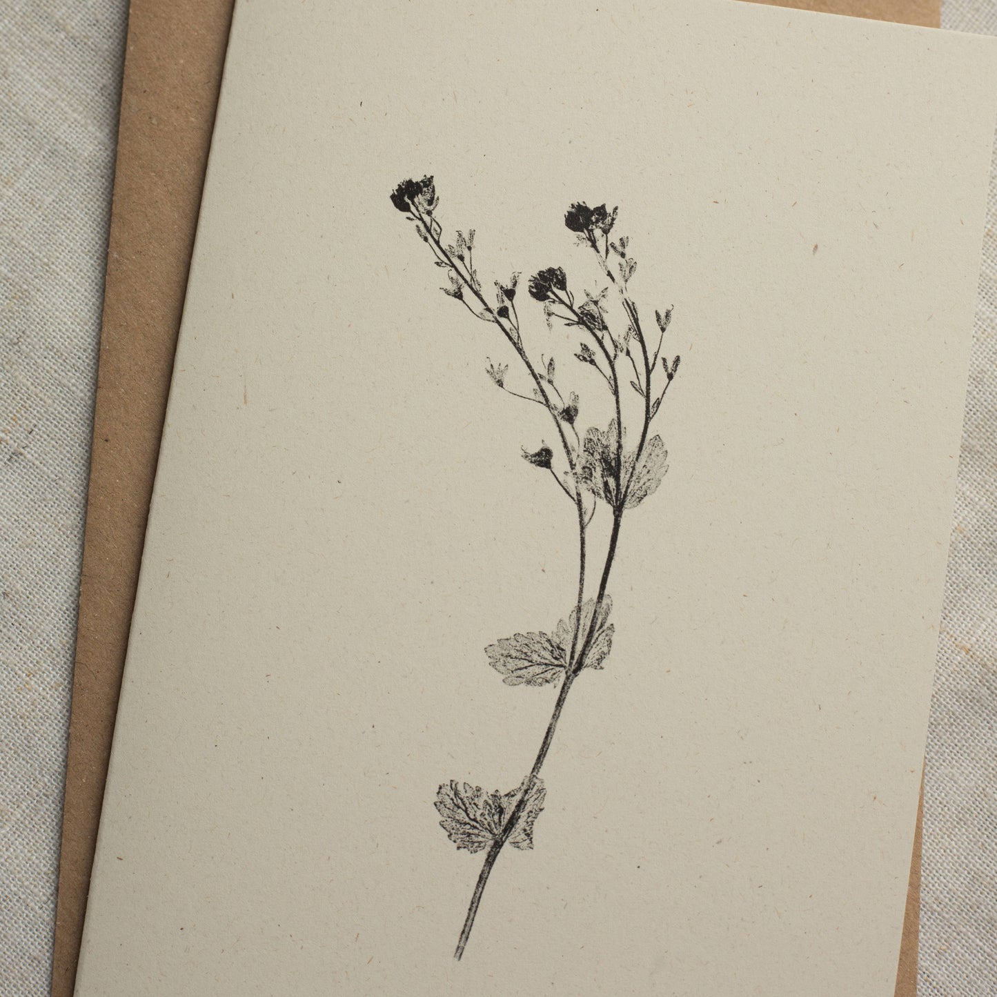 Speedwell Flower Card