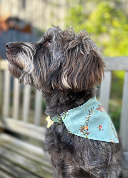 Beatrix/Blue Pattern Reversible Dog Bandana