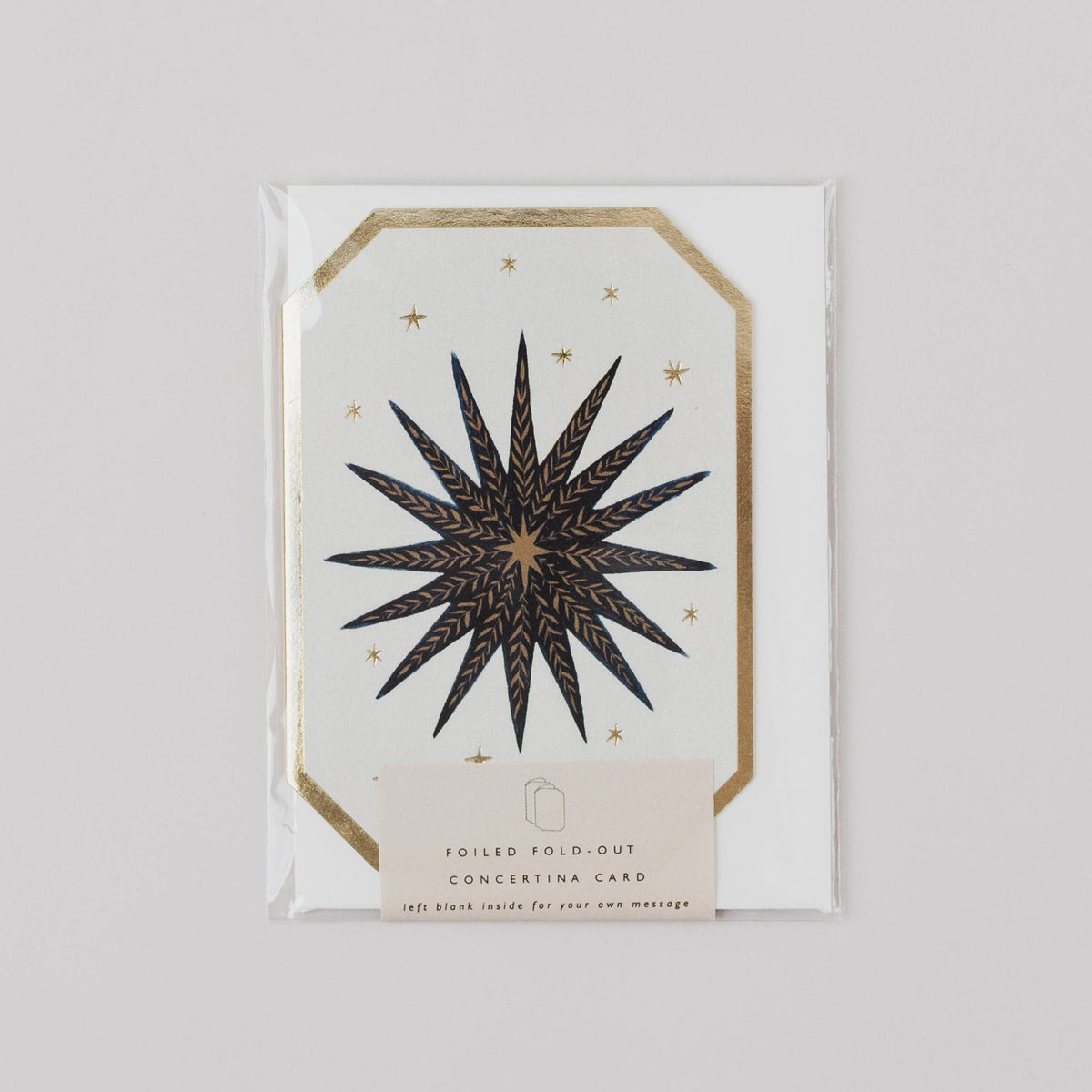 Celestial Concertina Mini Card