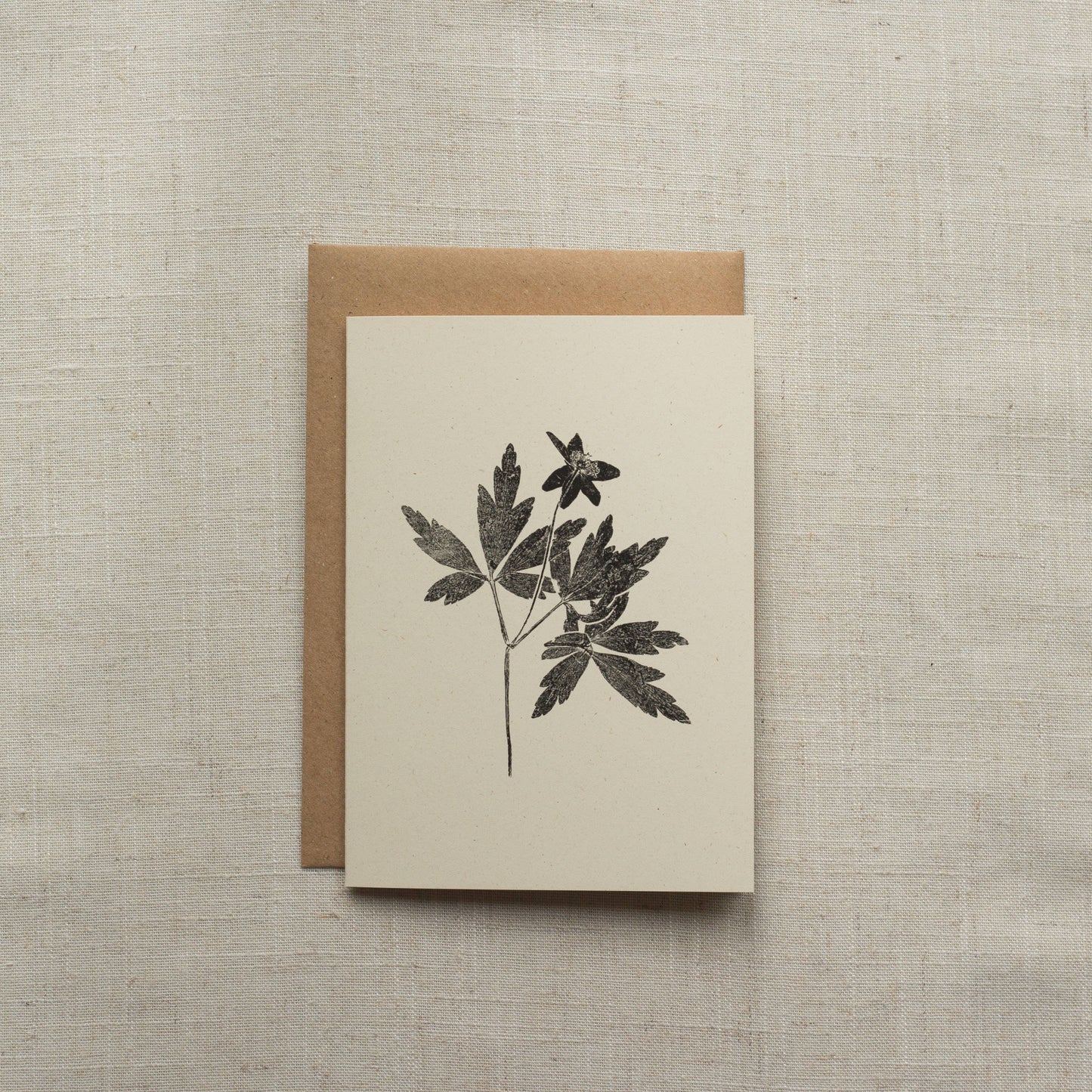 Wood Anemone Flower Greeting Card
