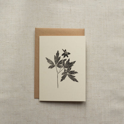 Wood Anemone Flower Greeting Card