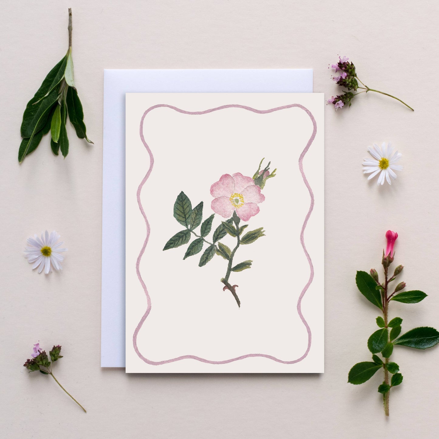 Luxury Wildflower Notecards