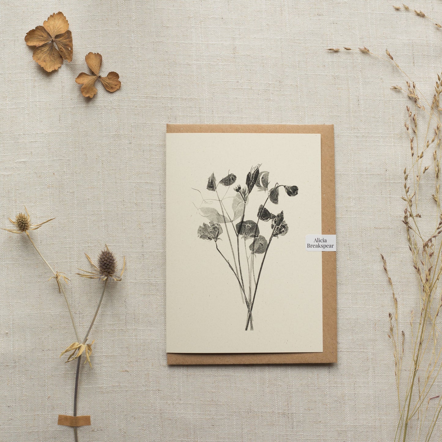 Sweet Peas Flower Greeting Card
