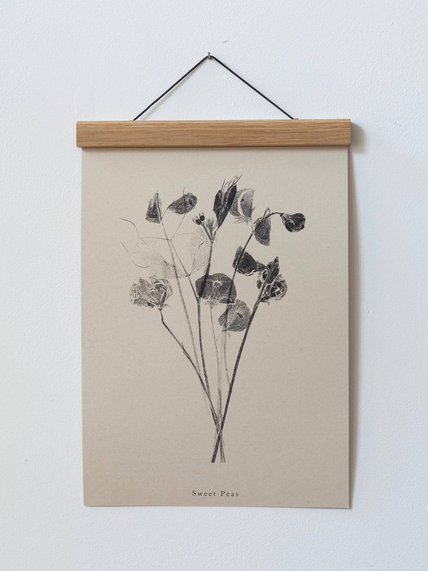 Sweet Peas A5 Botanical Art Print