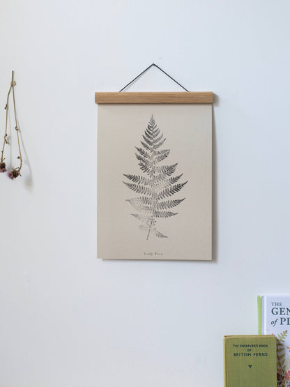 Lady Fern A5 Botanical Art Print