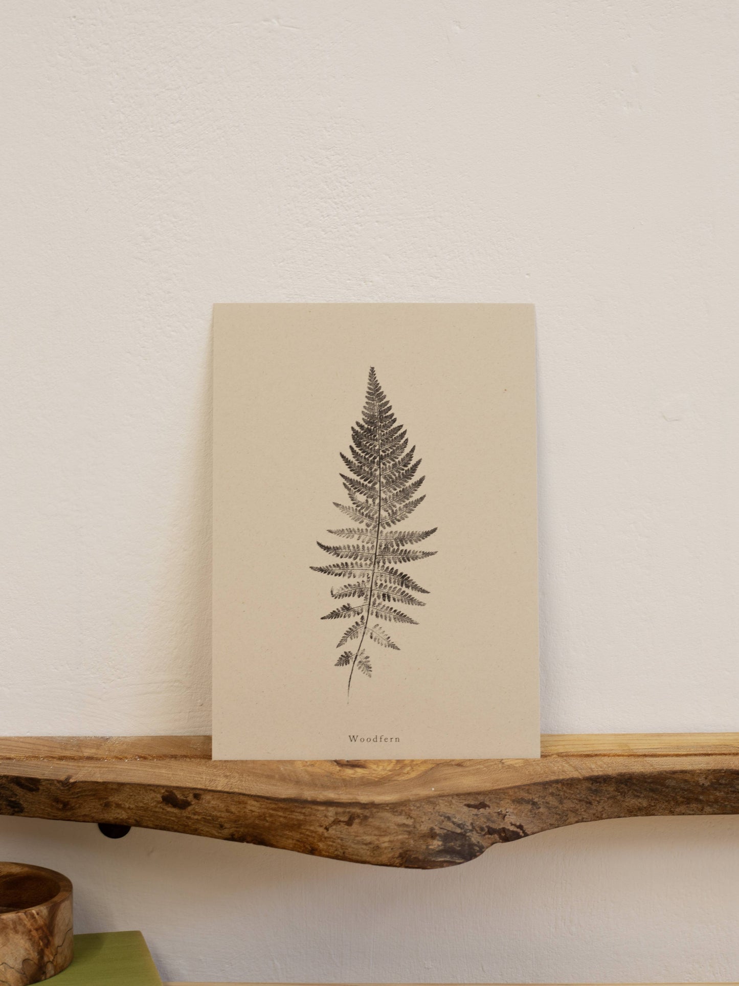 Woodfern A4 Botanical Art Print