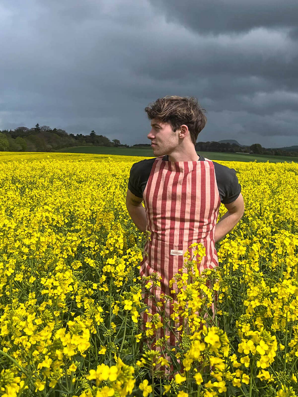 Jaipur Stripe Apron - Pomegranate