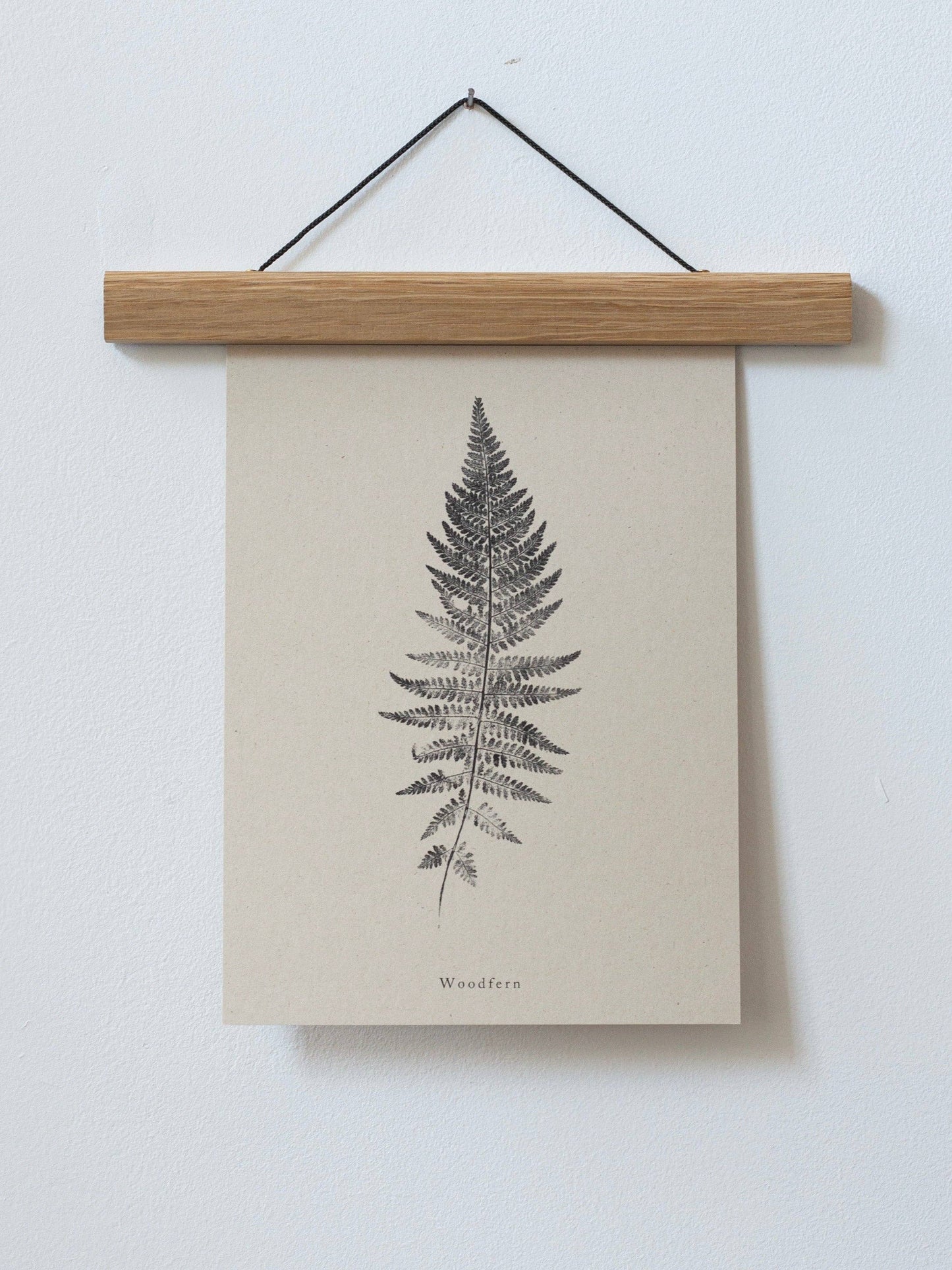 Woodfern A4 Botanical Art Print