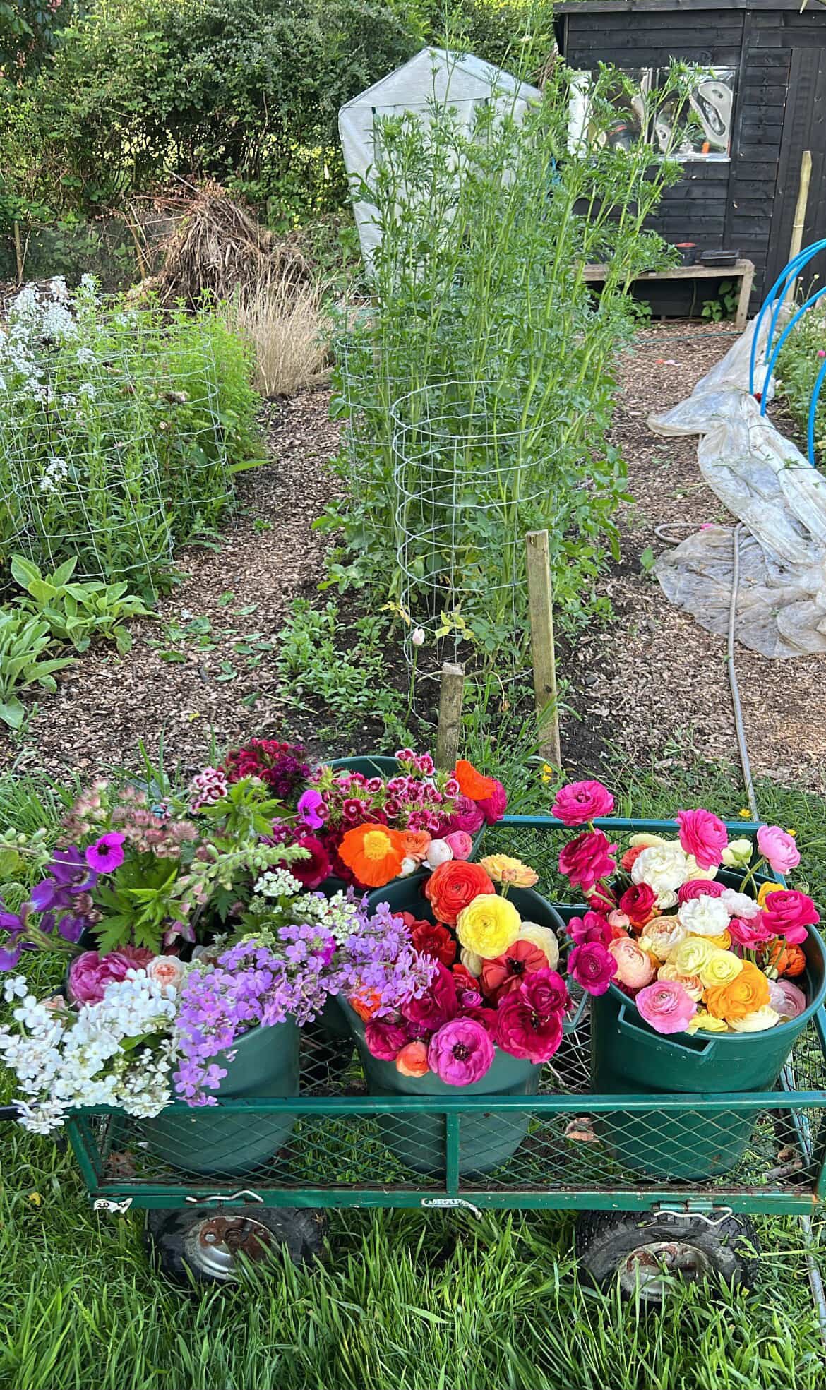 Flower Farming Talk & Hand Tied Bouquet Workshop - Thursday 17th September 14.00-16.30