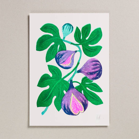 Risograph A4 Print - Fig