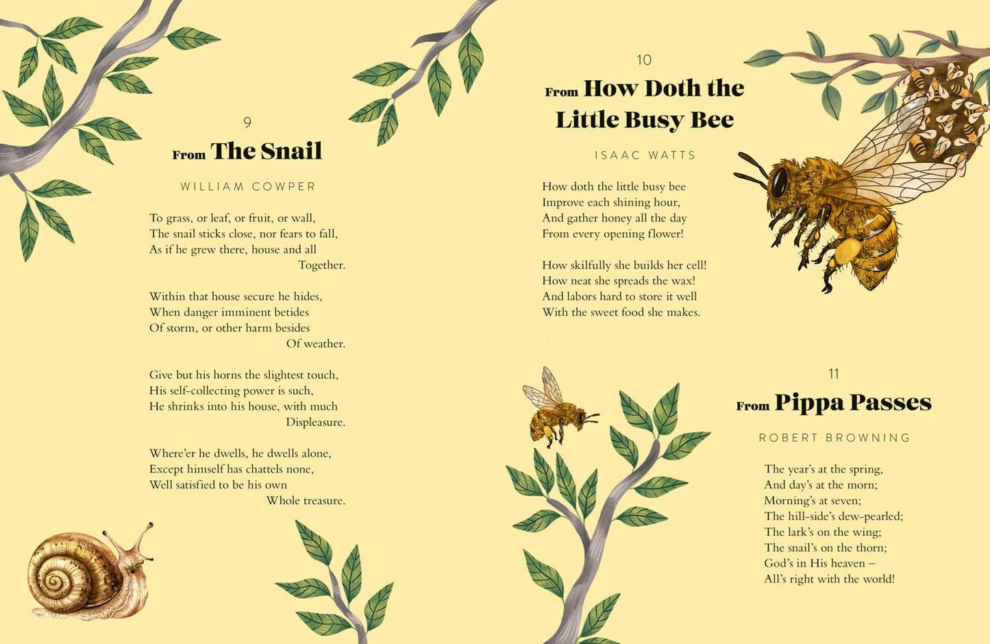 A Year Of Animal Poems