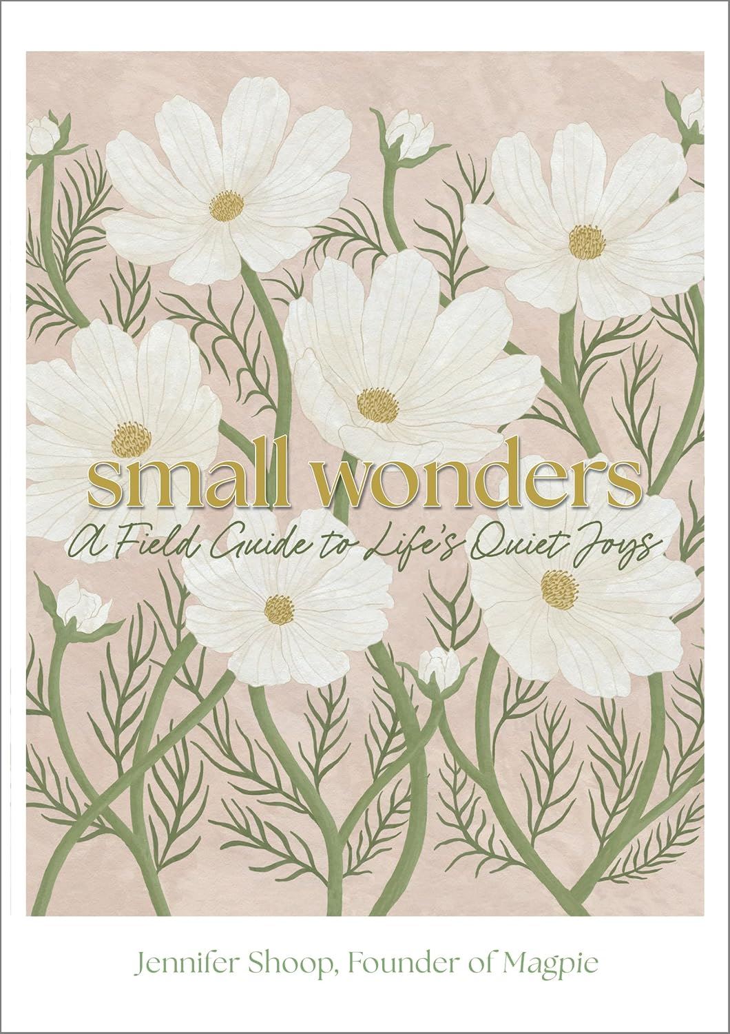 Small Wonders - A Feild Guide To Life’s Quiet Joys
