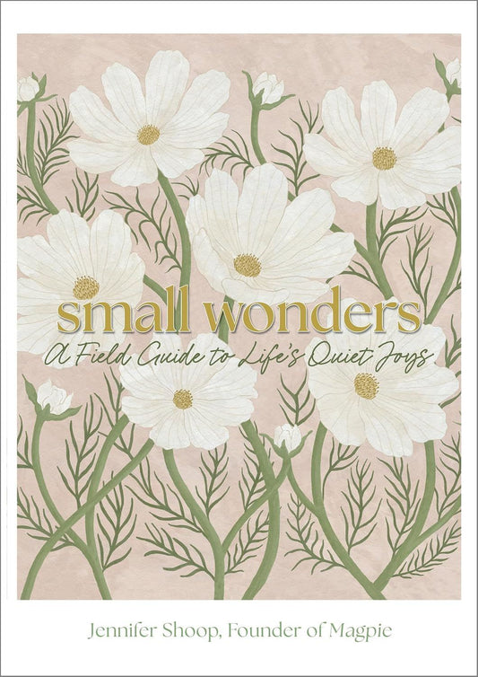 Small Wonders - A Feild Guide To Life’s Quiet Joys