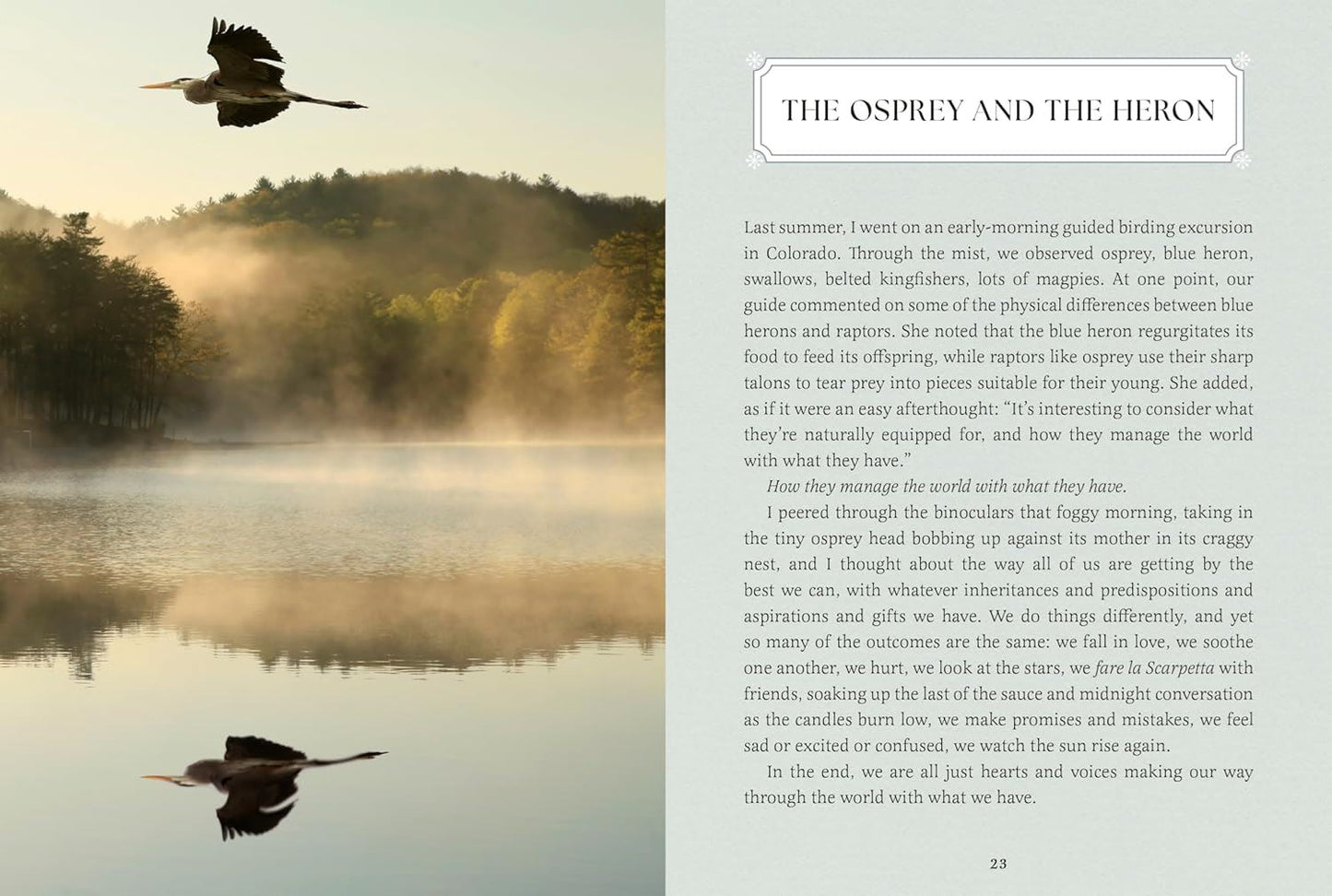Small Wonders - A Feild Guide To Life’s Quiet Joys