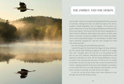 Small Wonders - A Feild Guide To Life’s Quiet Joys