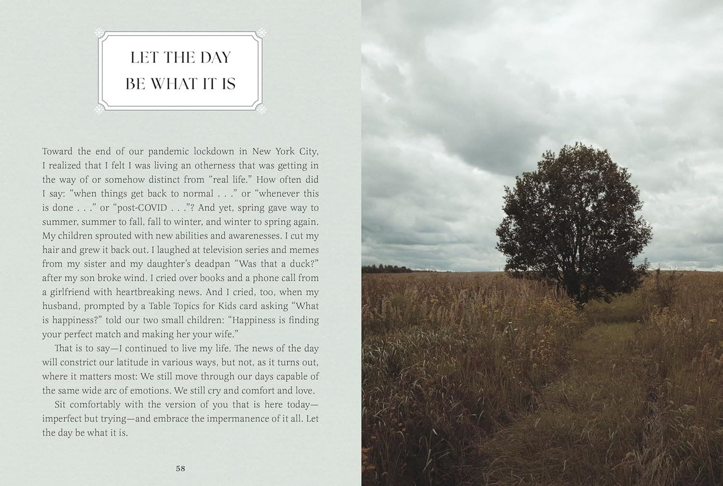Small Wonders - A Feild Guide To Life’s Quiet Joys