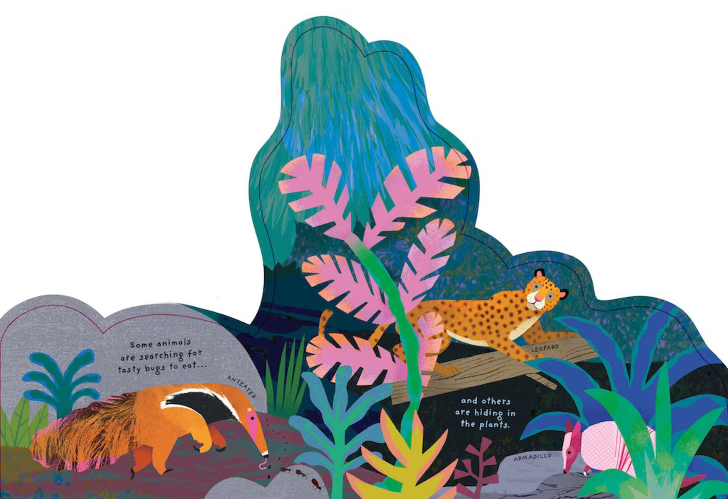 Animal Homes: Rainforest