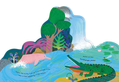 Animal Homes: Rainforest