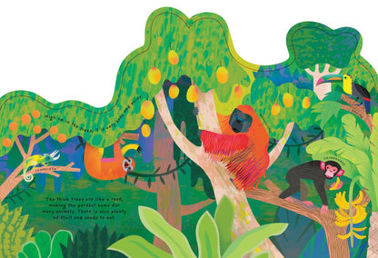 Animal Homes: Rainforest