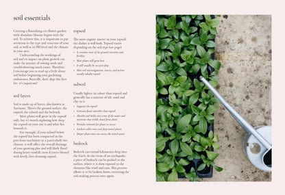 The Growers Guide: Seeds