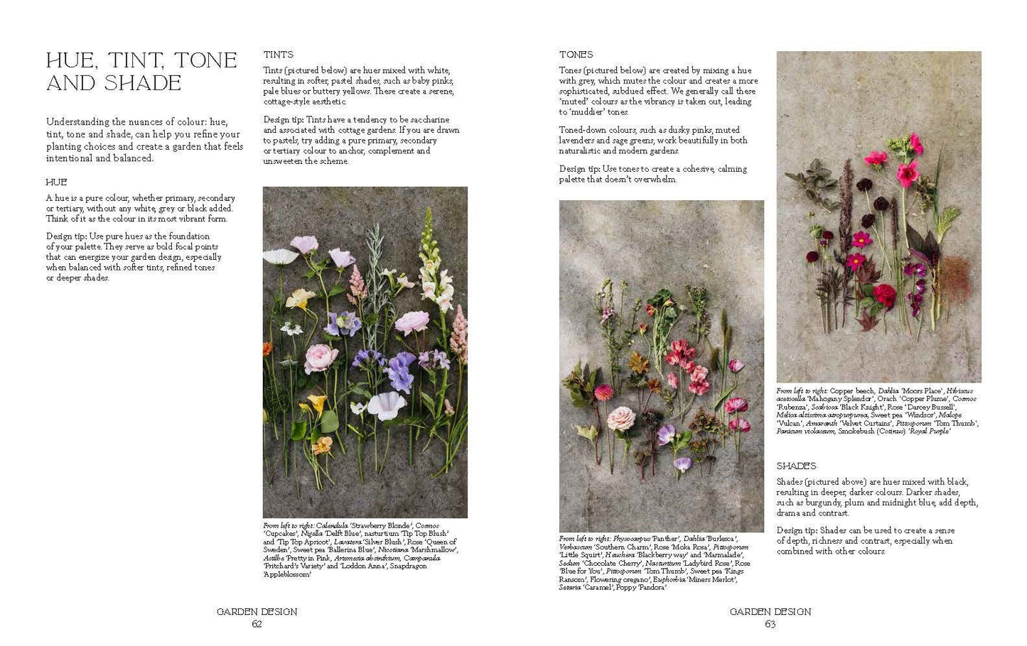 How Does Your Garden Grow?