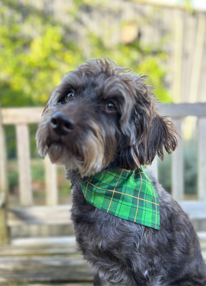 Tartan/Holly Reversible Dog Bandana