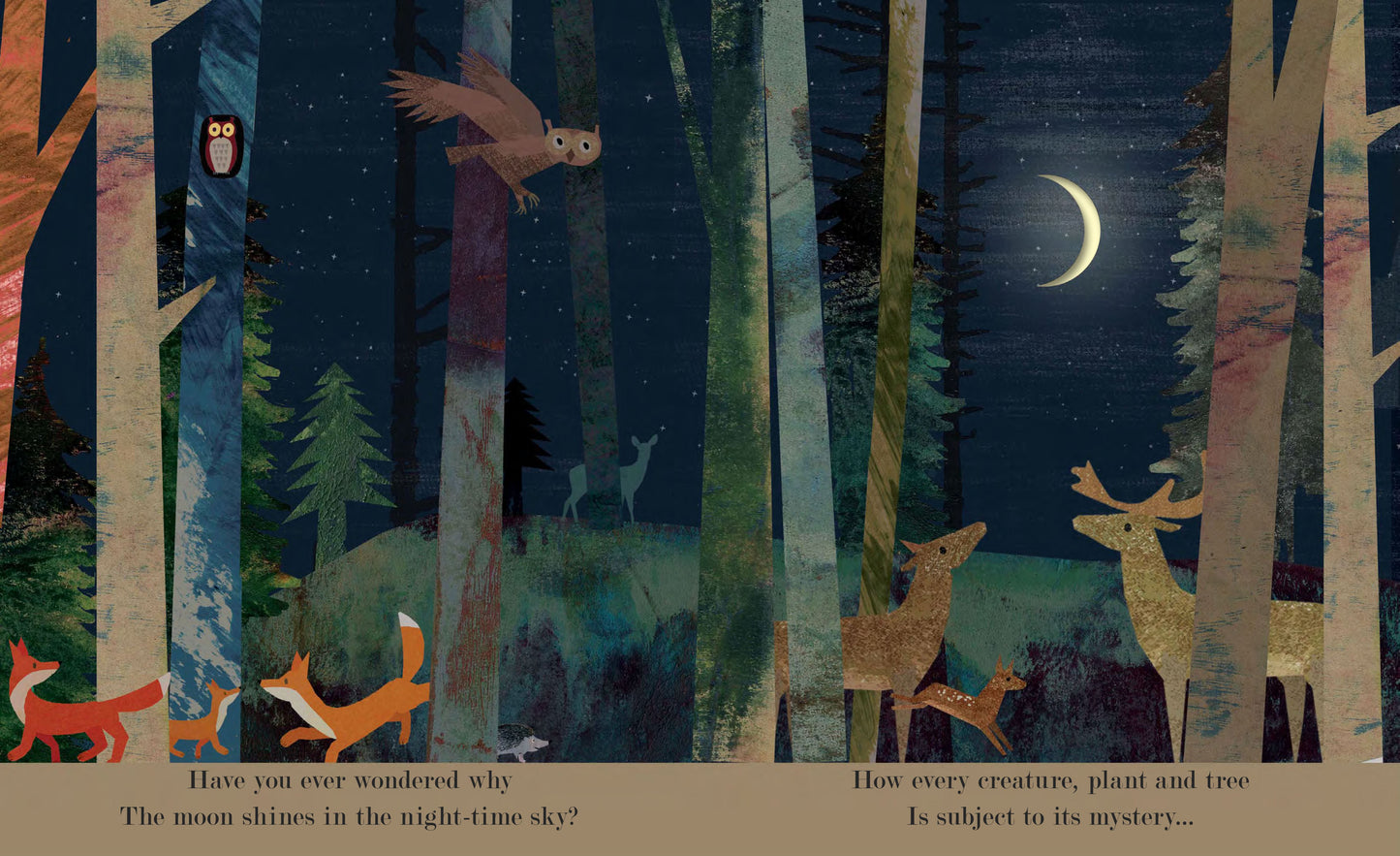 Moon: Night Time Around The World