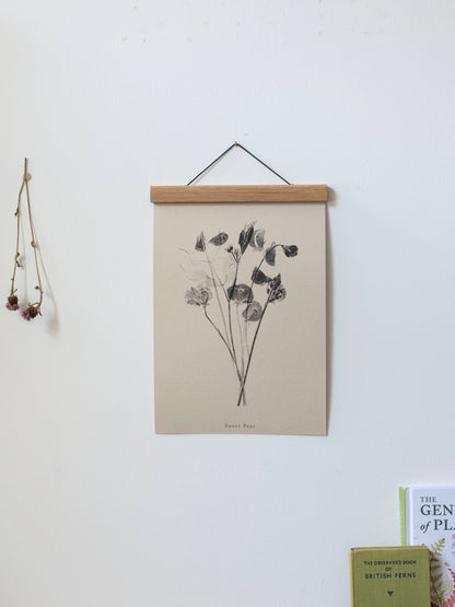 Sweet Peas A5 Botanical Art Print