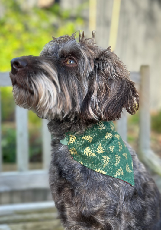 Beatrix/Gold Leaves Reversible Dog Bandana