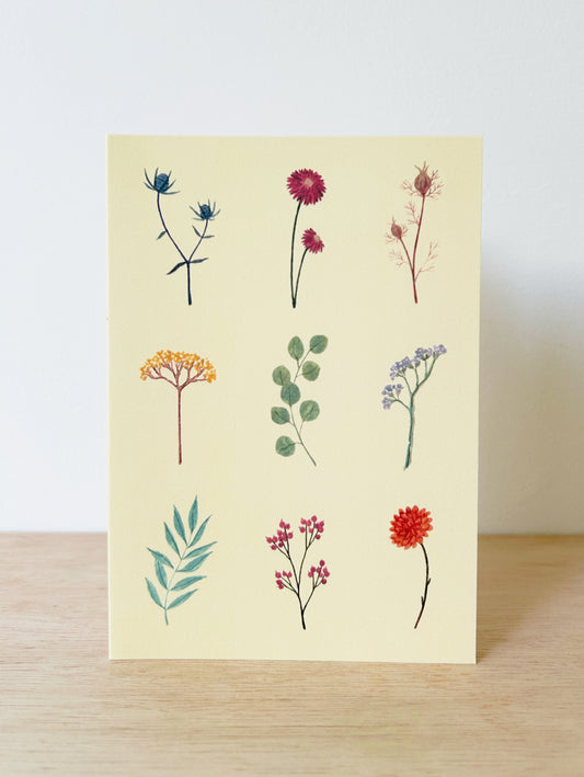Dried Flora Collection Card