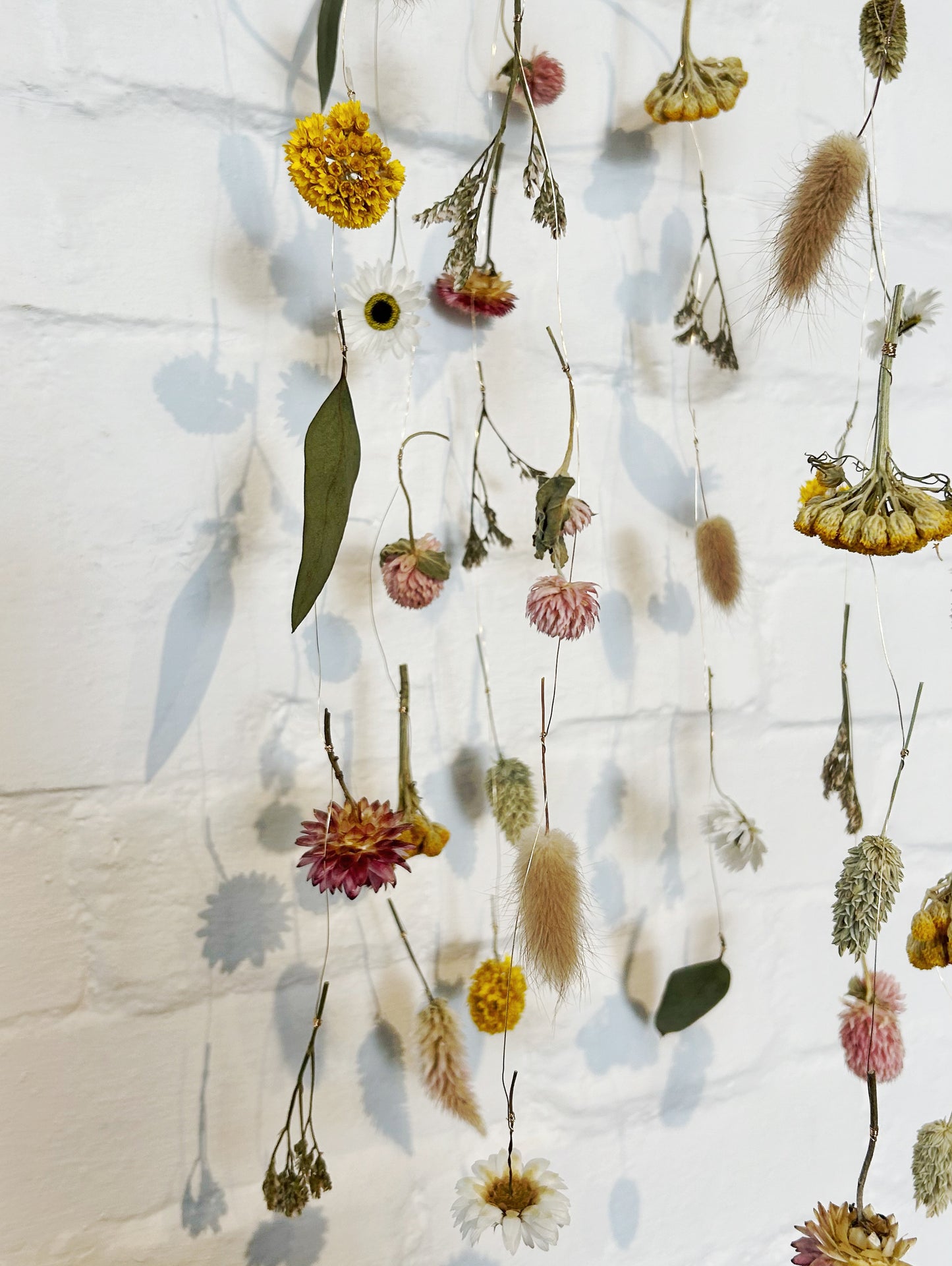 DIY Dried Flower Hoop Kit