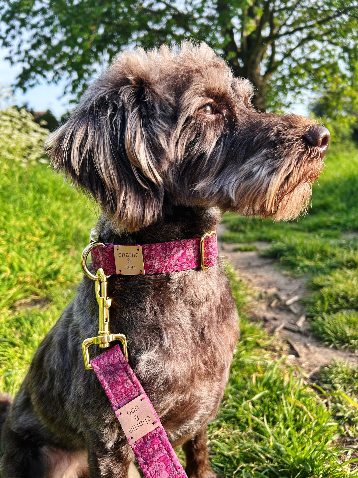 Pink Liberty Collar