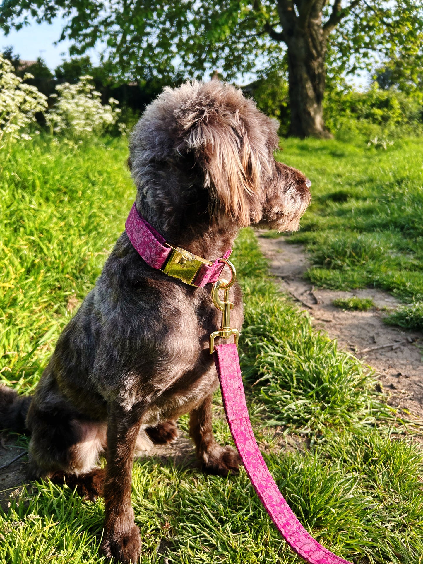 Pink Liberty Collar