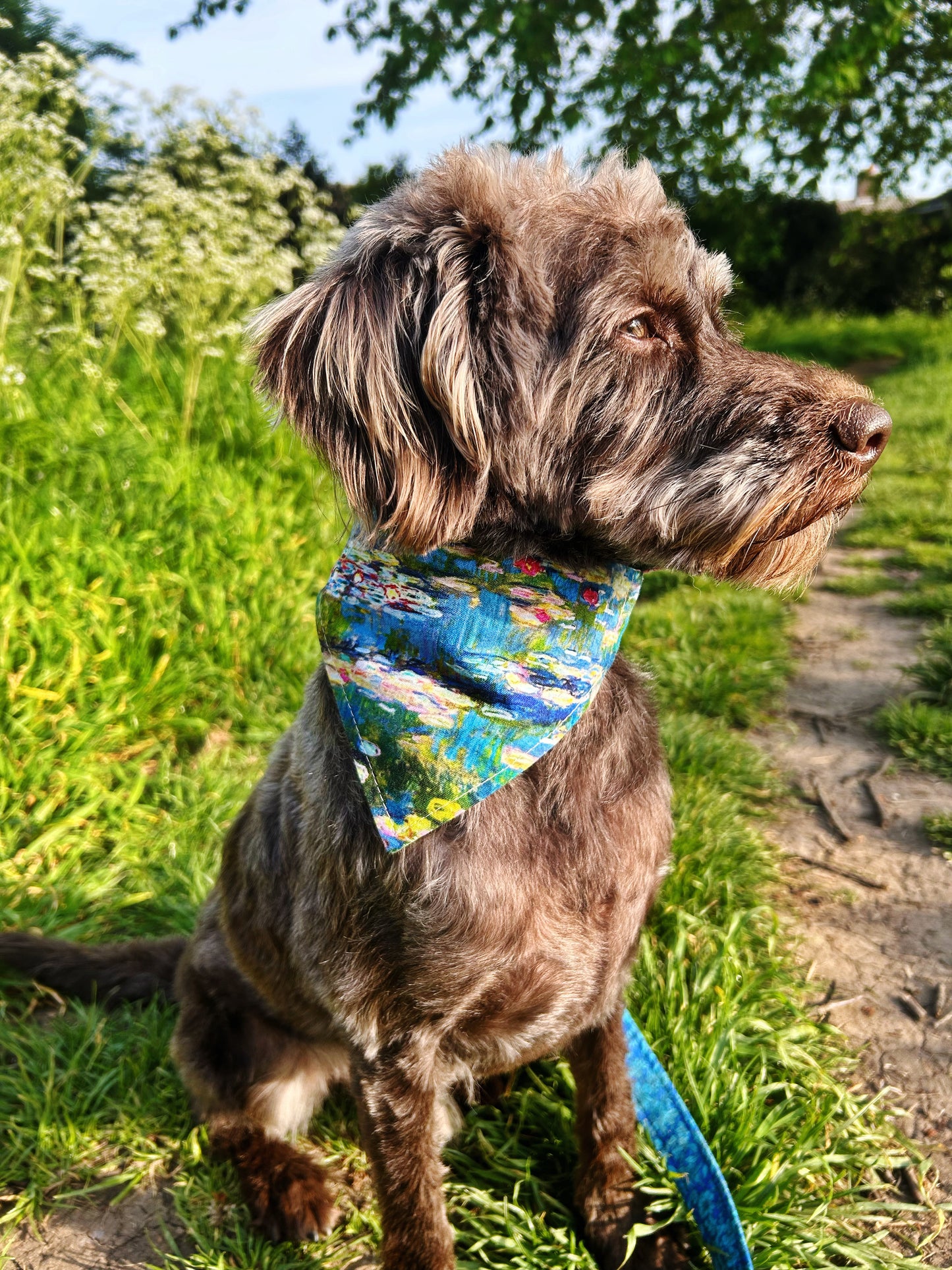 Monet Reversible Dog Bandana