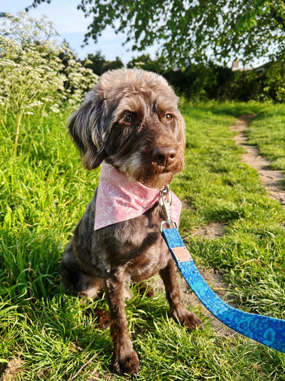 Monet Reversible Dog Bandana