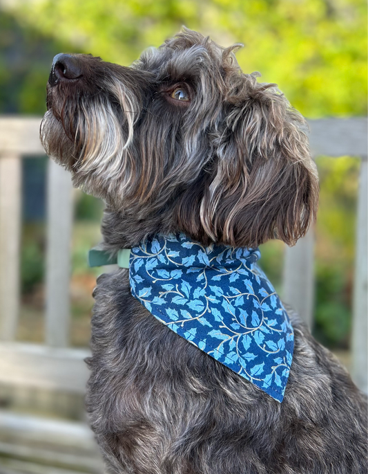 Blue Holly Dog Bandana