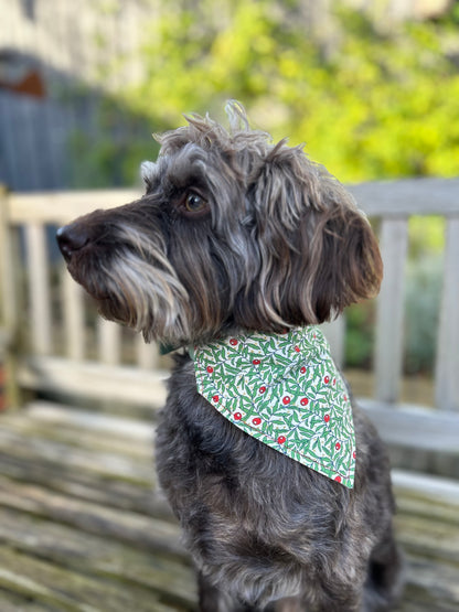 Berries/Red Spots Reversible Dog Bandana