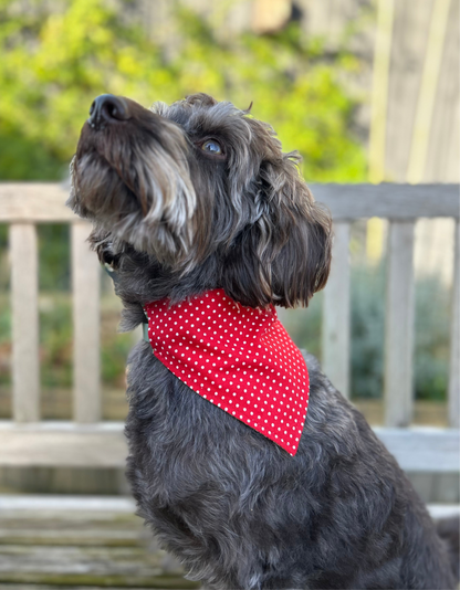 Berries/Red Spots Reversible Dog Bandana