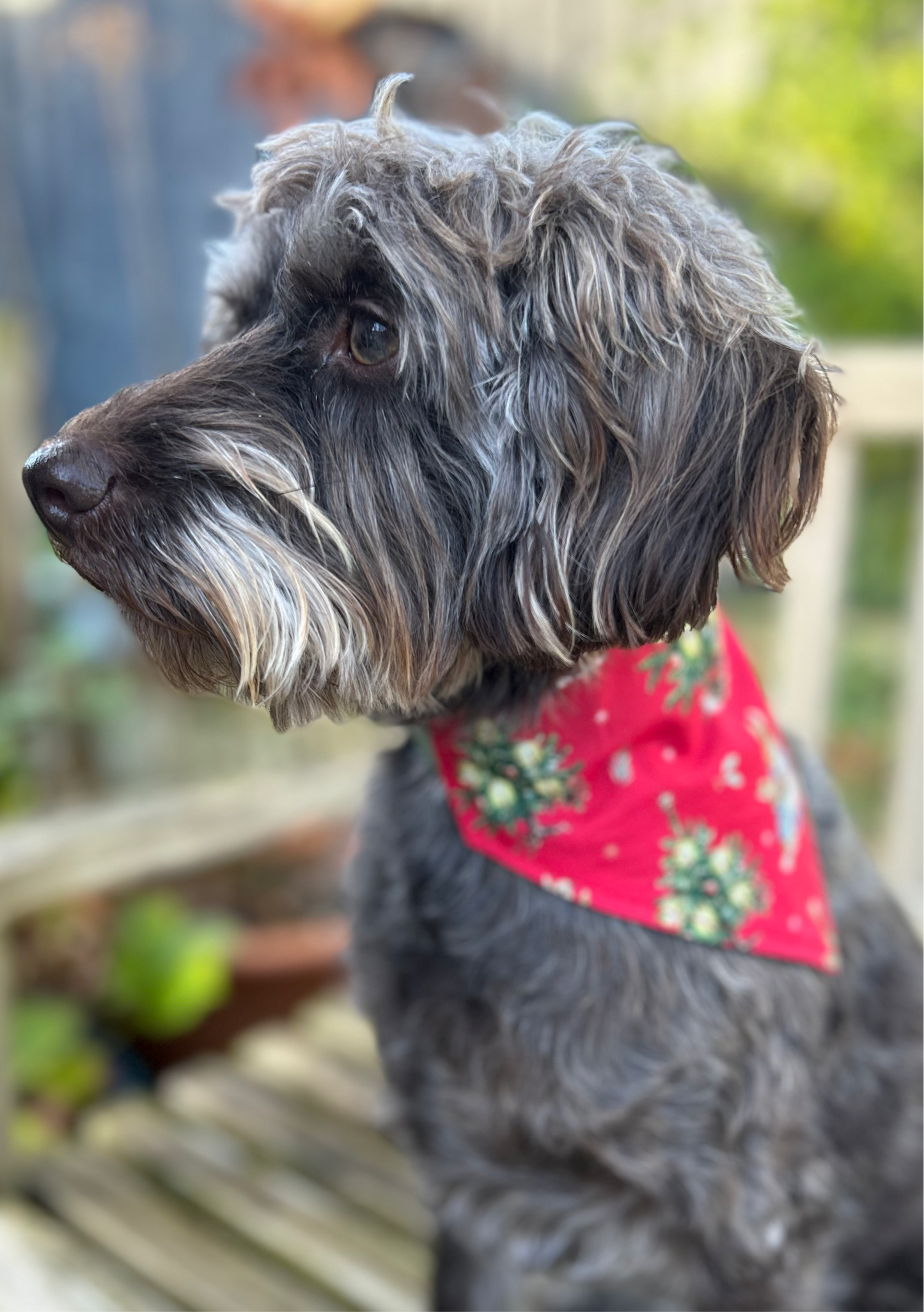 Beatrix/Gold Leaves Reversible Dog Bandana