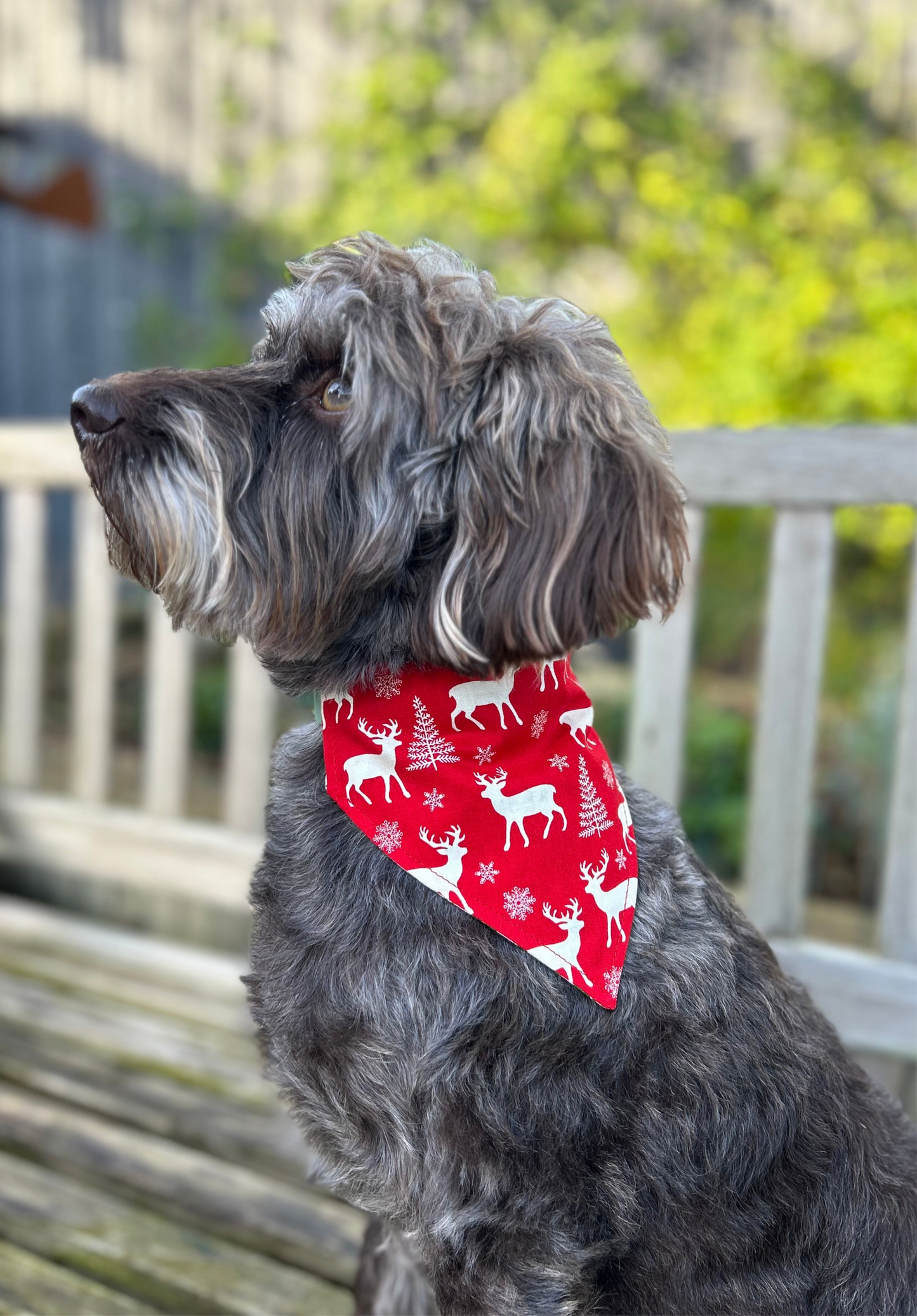 Holly/Red Deer Reversible Dog Bandana